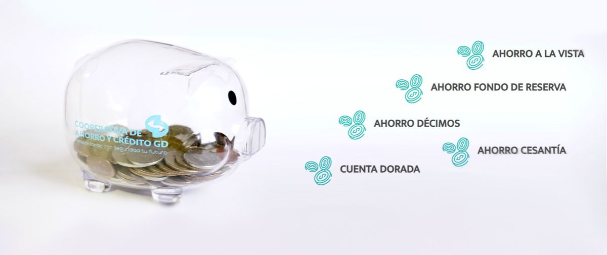 Ahorros Chancho