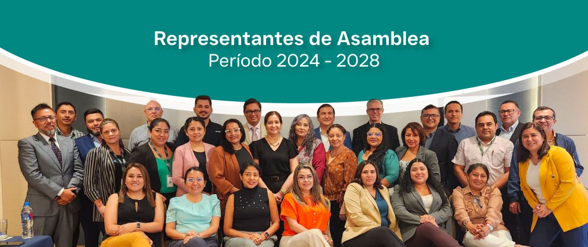Representantes2024